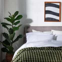 Pillowcases><noscript><img width=